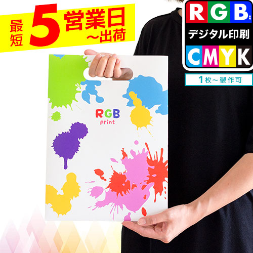 フルカラー紙袋RGB印刷 手穴平袋B5サイズ