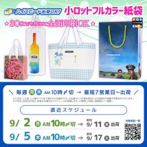 ９月の連休のイベント用に、30枚でも作れるフルカラー紙袋　次回スケジュール